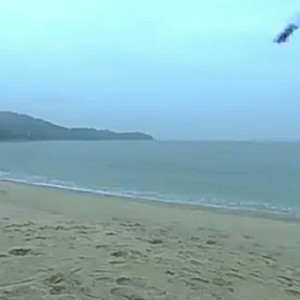 生活不止眼前的苟且