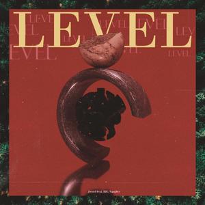 Level(feat. BIG Naughty)