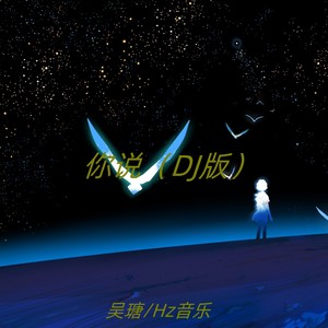 你说 (DJ版)