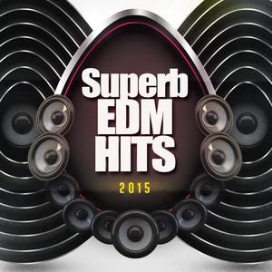 Superb EDM Hits 2015