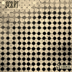 Script.001