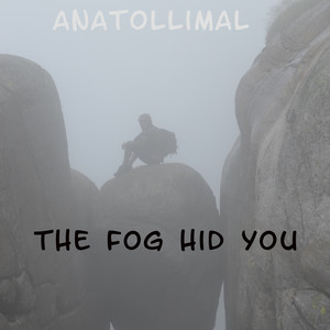 The Fog Hid You (Original Mix)