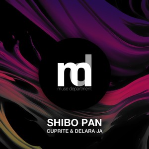 Shibo Pan (Radio Edit)