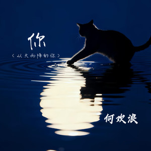你(从天而降的你)-何欢浪