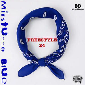 Freestyle 24 (Explicit)