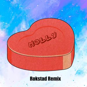 Perfect **** (Rokstad Remix)