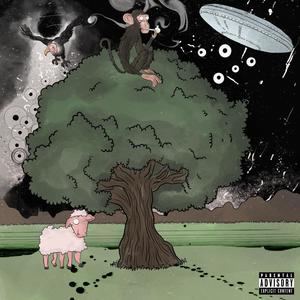 Flansinnata (Explicit)