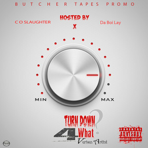 Turn Down 4 What (Explicit)