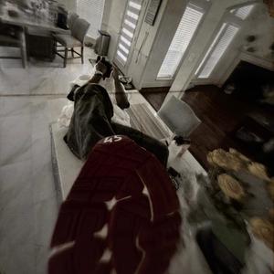 Top floor (feat. Wocki) (Explicit)