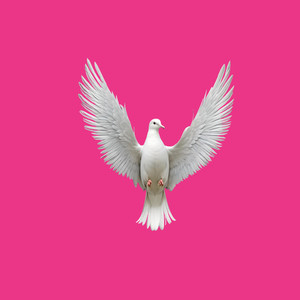 Kwiaty więdną (Explicit)