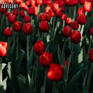 I Am so Sad... I Am so Very Very Sad