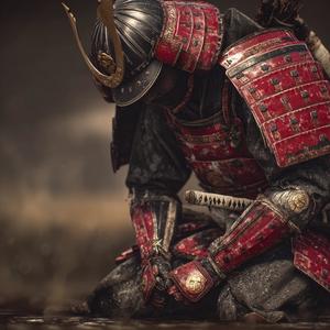 The way of a Samurai