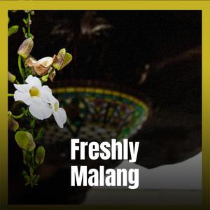 Freshly Malang