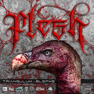 FLESH (Explicit)