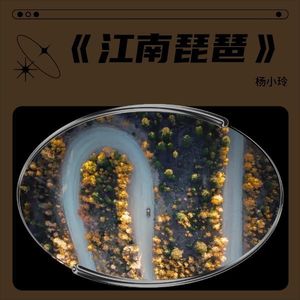 江南琵琶