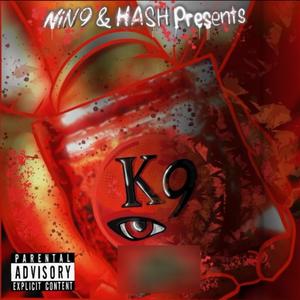 K9 FROM 9K (Explicit)