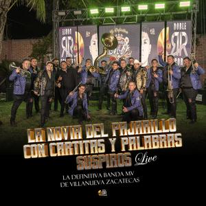 LA NOVIA DEL PAJARILLO, CON CARTITAS, SUSPIROS