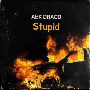 Stupid Pt3 (Explicit)