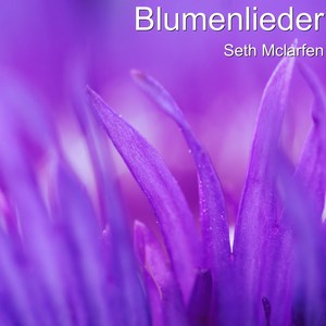 Blumenlieder Von Kralik