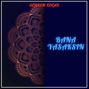 Bana Yasaksın(feat. Ahmet Döşyılmaz) (Remix)