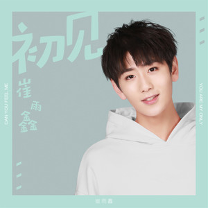 初见 (伴奏)封面