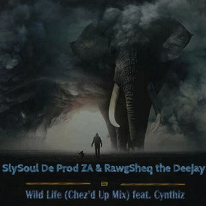 Wild Life (Chez'd Up Mix) Feat. Cynthiz