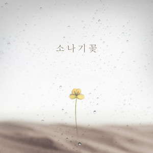 소나기꽃 (阵雨花)