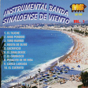 Instrumental Banda Sinaloense de Viento, Vol. 1