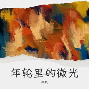 年轮里的微光