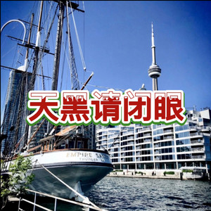 这扯蛋的人生 (傻傻版)