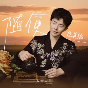 随便也是缘 (DJ默涵版伴奏)