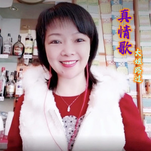 真情歌 (伴奏)