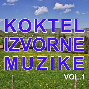 Koktel Izvorne Muzike 1