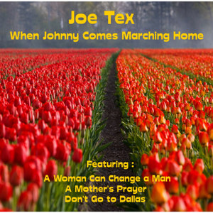 When Johnny Comes Marching Home