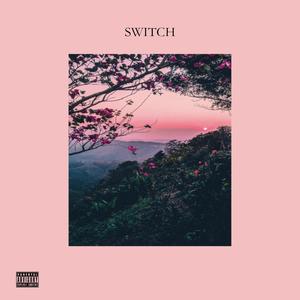 Switch (Lofi Version) [Explicit]