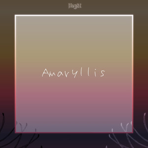 Amaryllis