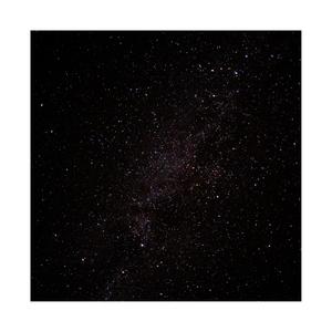 The Deer at the Bone Caves