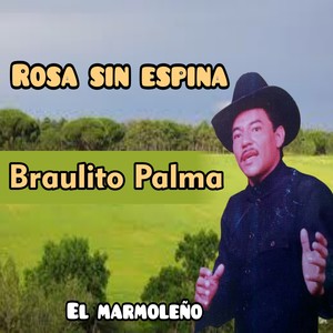 Rosa sin espina