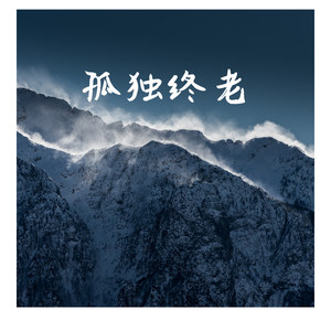 从没感觉到被爱 (Remix)