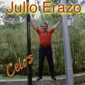 Julio Erazo - Dejame Un Beso