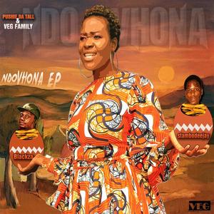 Ndo Vhona (feat. T Cole Matoro)