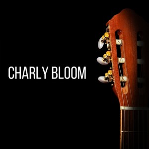 Amor De Bandido (Instrumental Version)