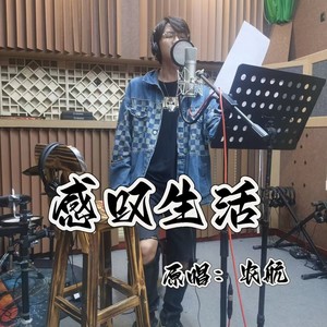 感叹生活 (DJ版)