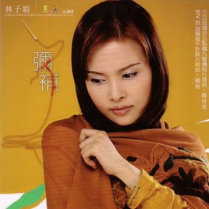 缘情梦