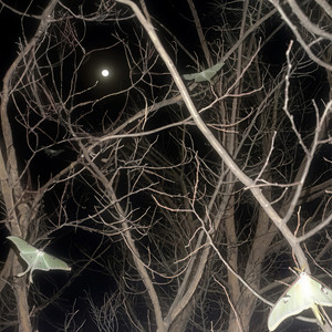 你说不离开 于是我越来越依赖