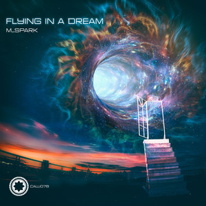 Flying In a Dream