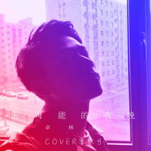 有可能的夜晚-卓林佳