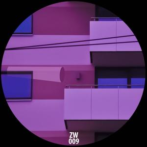 ZW009