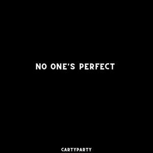 No Ones Perfect