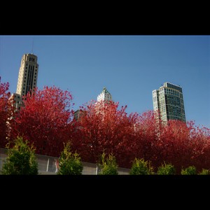 Winterreise - Die Post (邮车)